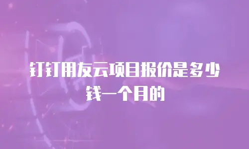 钉钉用友云项目报价是多少钱一个月的