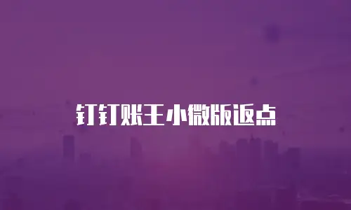 钉钉账王小微版返点