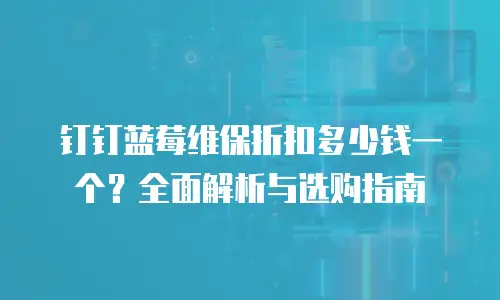 钉钉蓝莓维保折扣多少钱一个？全面解析与选购指南