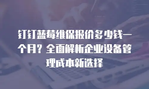 钉钉蓝莓维保报价多少钱一个月？全面解析企业设备管理成本新选择