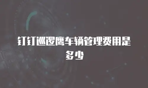 钉钉巡逻鹰车辆管理费用是多少