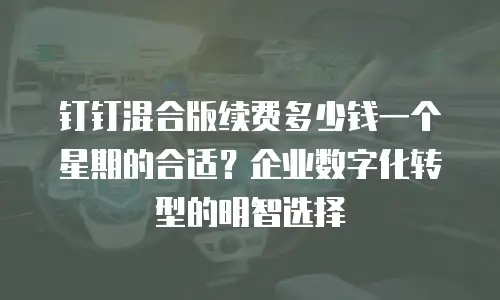 钉钉混合版续费多少钱一个星期的合适？企业数字化转型的明智选择