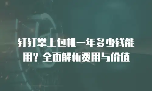 钉钉掌上包机一年多少钱能用？全面解析费用与价值