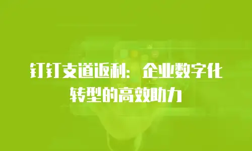 钉钉支道返利：企业数字化转型的高效助力
