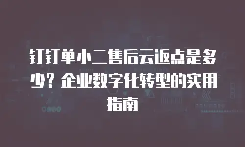 钉钉单小二售后云返点是多少？企业数字化转型的实用指南