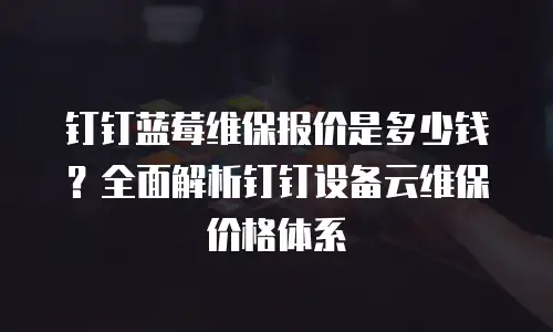 钉钉蓝莓维保报价是多少钱？全面解析钉钉设备云维保价格体系