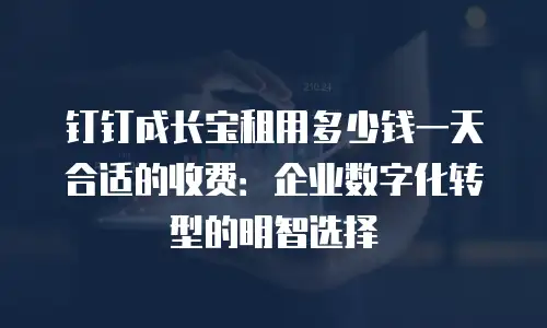 钉钉成长宝租用多少钱一天合适的收费：企业数字化转型的明智选择