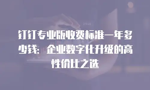 钉钉专业版收费标准一年多少钱：企业数字化升级的高性价比之选
