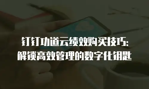 钉钉功道云绩效购买技巧：解锁高效管理的数字化钥匙