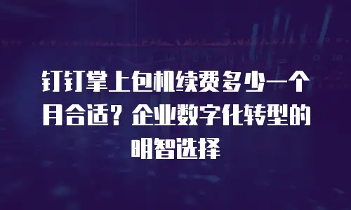 钉钉掌上包机续费多少一个月合适？企业数字化转型的明智选择