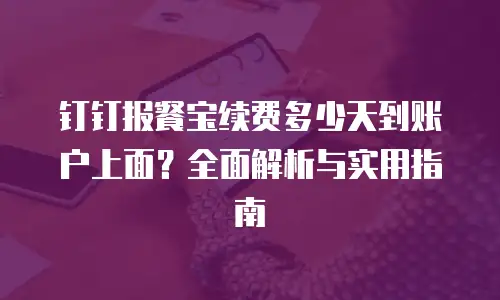 钉钉报餐宝续费多少天到账户上面？全面解析与实用指南