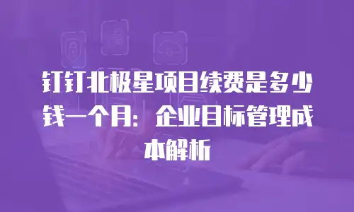 钉钉北极星项目续费是多少钱一个月：企业目标管理成本解析