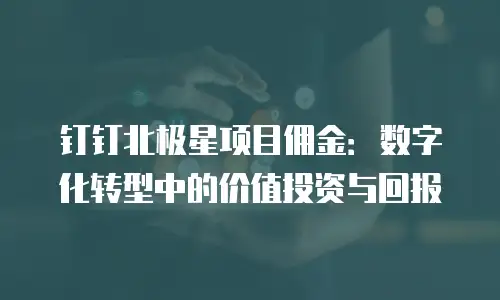 钉钉北极星项目佣金：数字化转型中的价值投资与回报