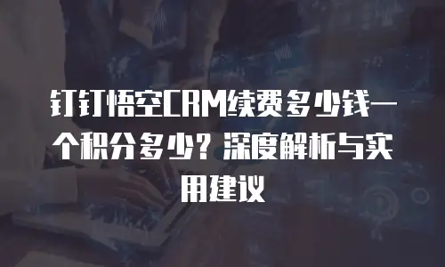 钉钉悟空CRM续费多少钱一个积分多少？深度解析与实用建议