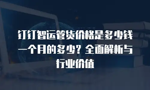 钉钉智运管货价格是多少钱一个月的多少？全面解析与行业价值