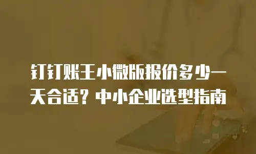 钉钉账王小微版报价多少一天合适？中小企业选型指南
