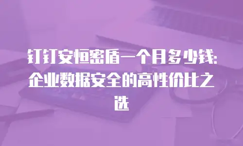 钉钉安恒密盾一个月多少钱：企业数据安全的高性价比之选