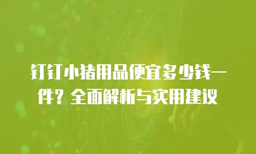 钉钉小猪用品便宜多少钱一件？全面解析与实用建议