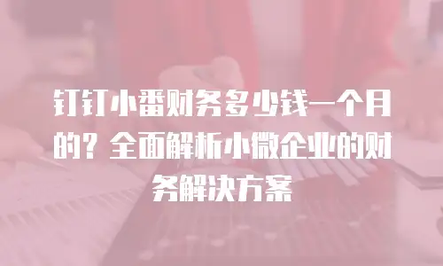 钉钉小番财务多少钱一个月的？全面解析小微企业的财务解决方案