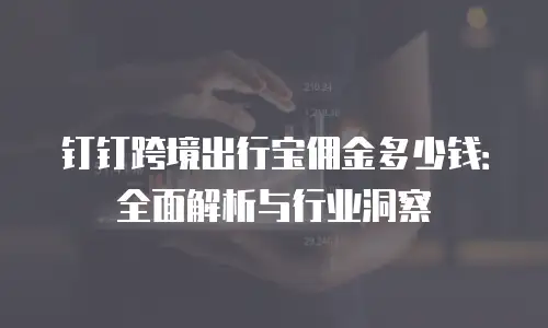 钉钉跨境出行宝佣金多少钱：全面解析与行业洞察