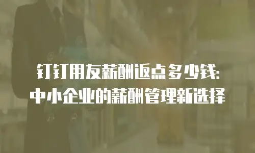 钉钉用友薪酬返点多少钱：中小企业的薪酬管理新选择