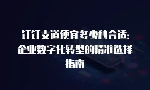钉钉支道便宜多少秒合适：企业数字化转型的精准选择指南