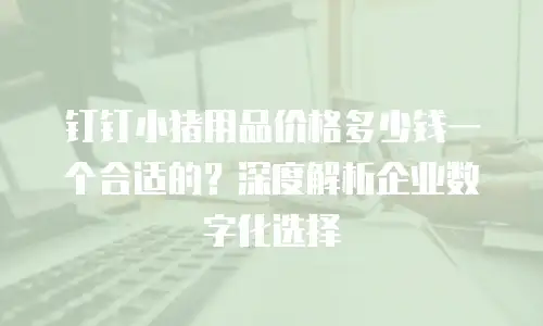 钉钉小猪用品价格多少钱一个合适的？深度解析企业数字化选择