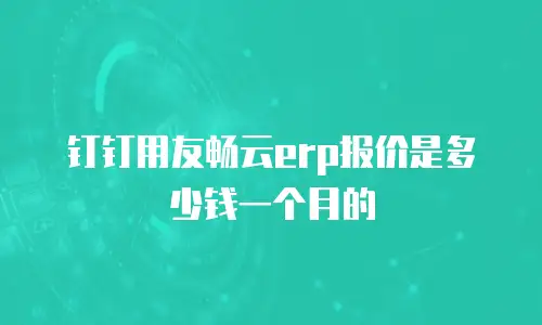 钉钉用友畅云erp报价是多少钱一个月的