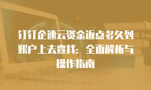 钉钉企速云资金返点多久到账户上去查找：全面解析与操作指南