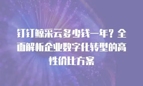 钉钉鲸采云多少钱一年？全面解析企业数字化转型的高性价比方案
