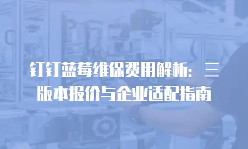 钉钉蓝莓维保费用解析：三版本报价与企业适配指南