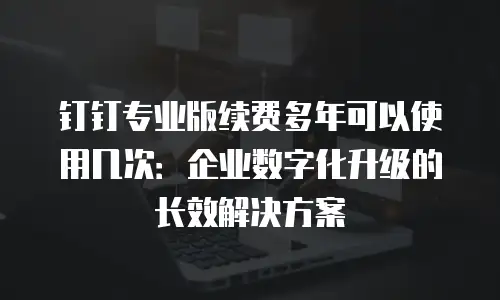 钉钉专业版续费多年可以使用几次：企业数字化升级的长效解决方案