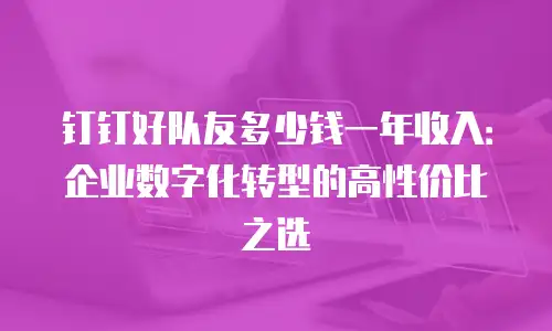 钉钉好队友多少钱一年收入：企业数字化转型的高性价比之选