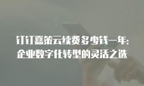 钉钉嘉策云续费多少钱一年：企业数字化转型的灵活之选