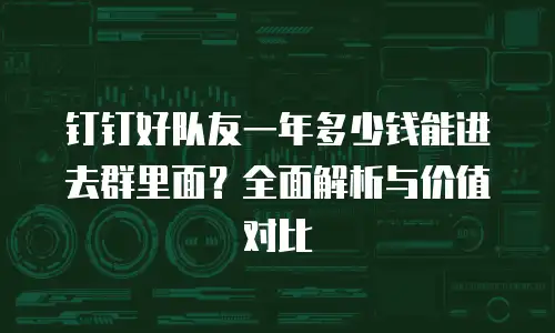 钉钉好队友一年多少钱能进去群里面？全面解析与价值对比