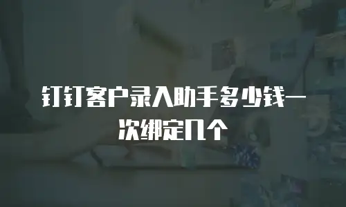 钉钉客户录入助手多少钱一次绑定几个