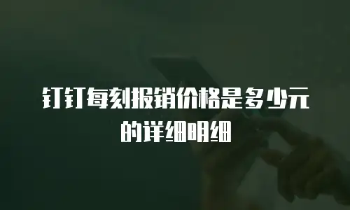 钉钉每刻报销价格是多少元的详细明细