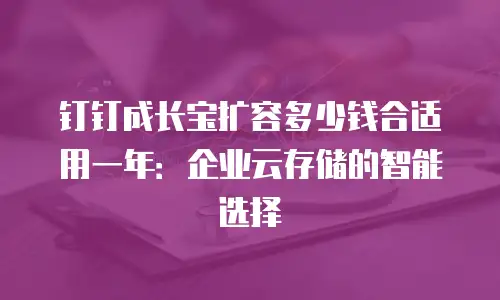 钉钉成长宝扩容多少钱合适用一年：企业云存储的智能选择
