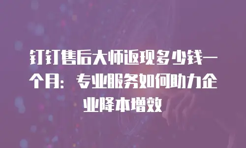 钉钉售后大师返现多少钱一个月：专业服务如何助力企业降本增效