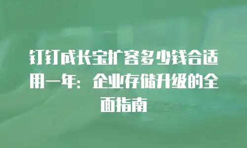 钉钉成长宝扩容多少钱合适用一年：企业存储升级的全面指南