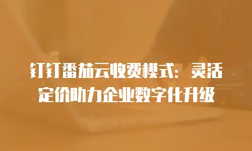 钉钉番茄云收费模式：灵活定价助力企业数字化升级
