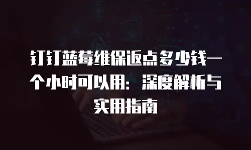 钉钉蓝莓维保返点多少钱一个小时可以用：深度解析与实用指南