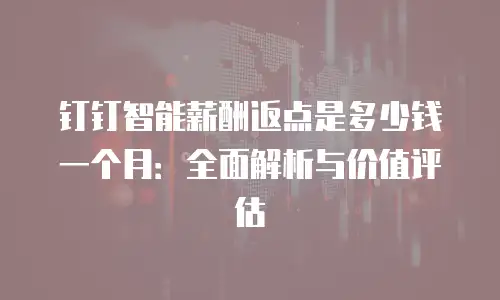 钉钉智能薪酬返点是多少钱一个月：全面解析与价值评估