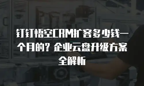 钉钉悟空CRM扩容多少钱一个月的？企业云盘升级方案全解析