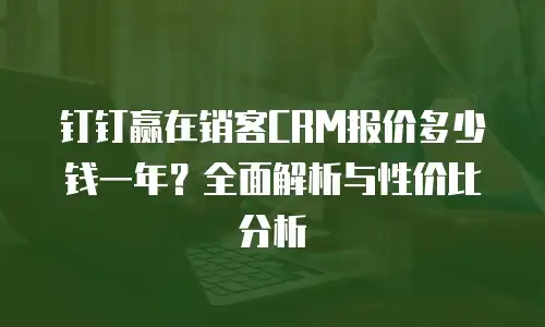 钉钉赢在销客CRM报价多少钱一年？全面解析与性价比分析