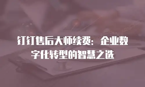 钉钉售后大师续费：企业数字化转型的智慧之选