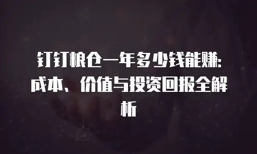 钉钉粮仓一年多少钱能赚：成本、价值与投资回报全解析
