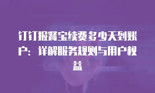 钉钉报餐宝续费多少天到账户：详解服务规则与用户权益