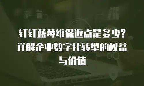 钉钉蓝莓维保返点是多少？详解企业数字化转型的权益与价值