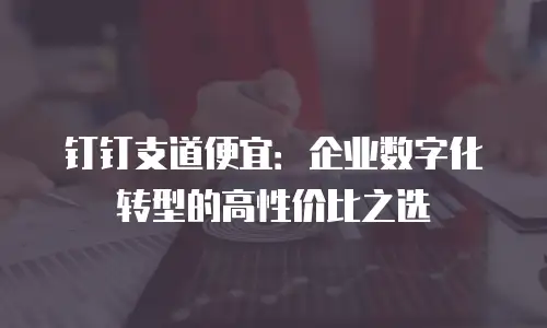 钉钉支道便宜：企业数字化转型的高性价比之选